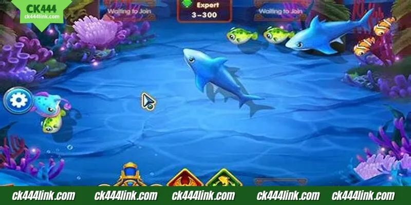 CK444 Royal Fishing খেলার সময় যে বিষয়গুলো এড়িয়ে চলতে হবে