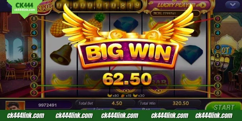 CK444-এর স্লট-এ প্রচুর দারুণ আকর্ষণীয় তথ্য রয়েছে